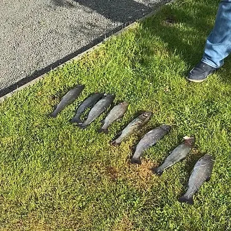 酒店 Jagdschloss *